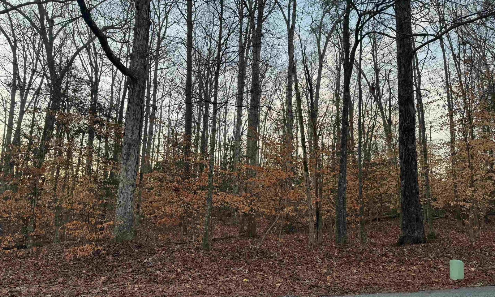 Property image 5 at 00 Pistol Club Road, Easley, SC 29640