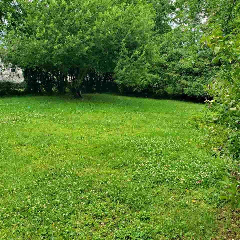 Property image 3 at 115 Leo Lewis Street, Greenville, SC 29609