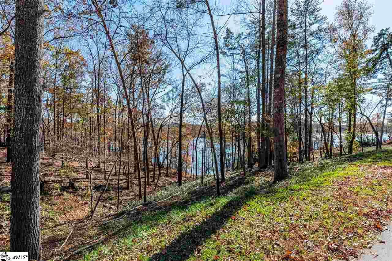Property image 5 at 449 Peninsula Ridge, Sunset, SC 29685