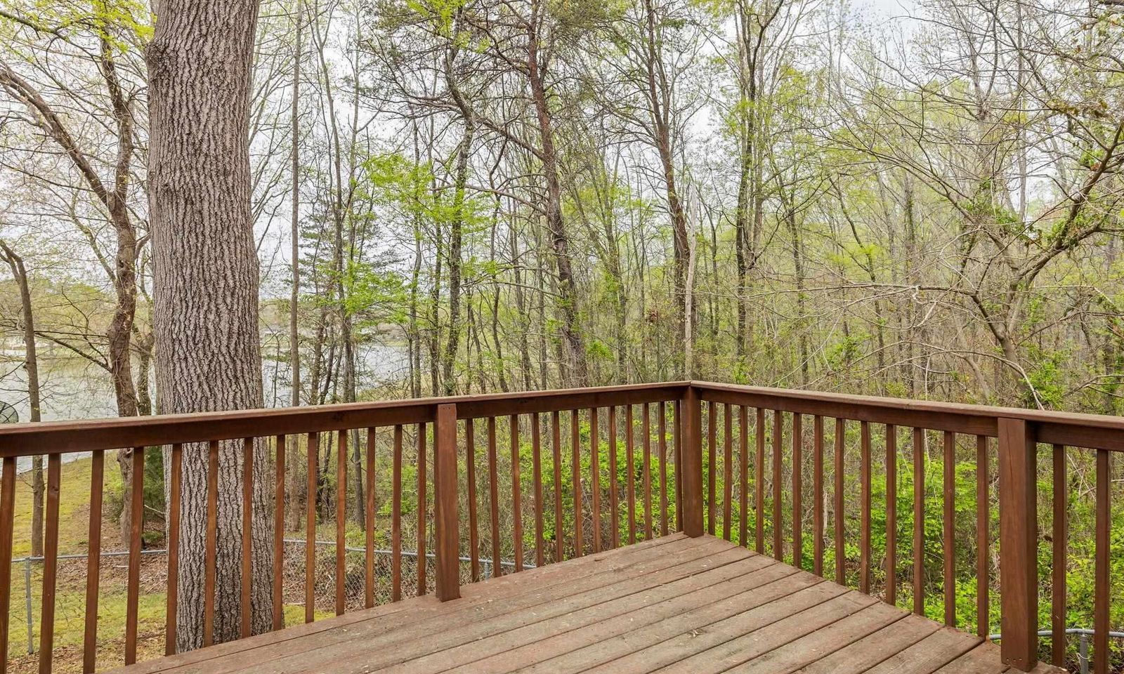 Property image 4 at 167 Chestnut Lake Drive, Inman, SC 29349