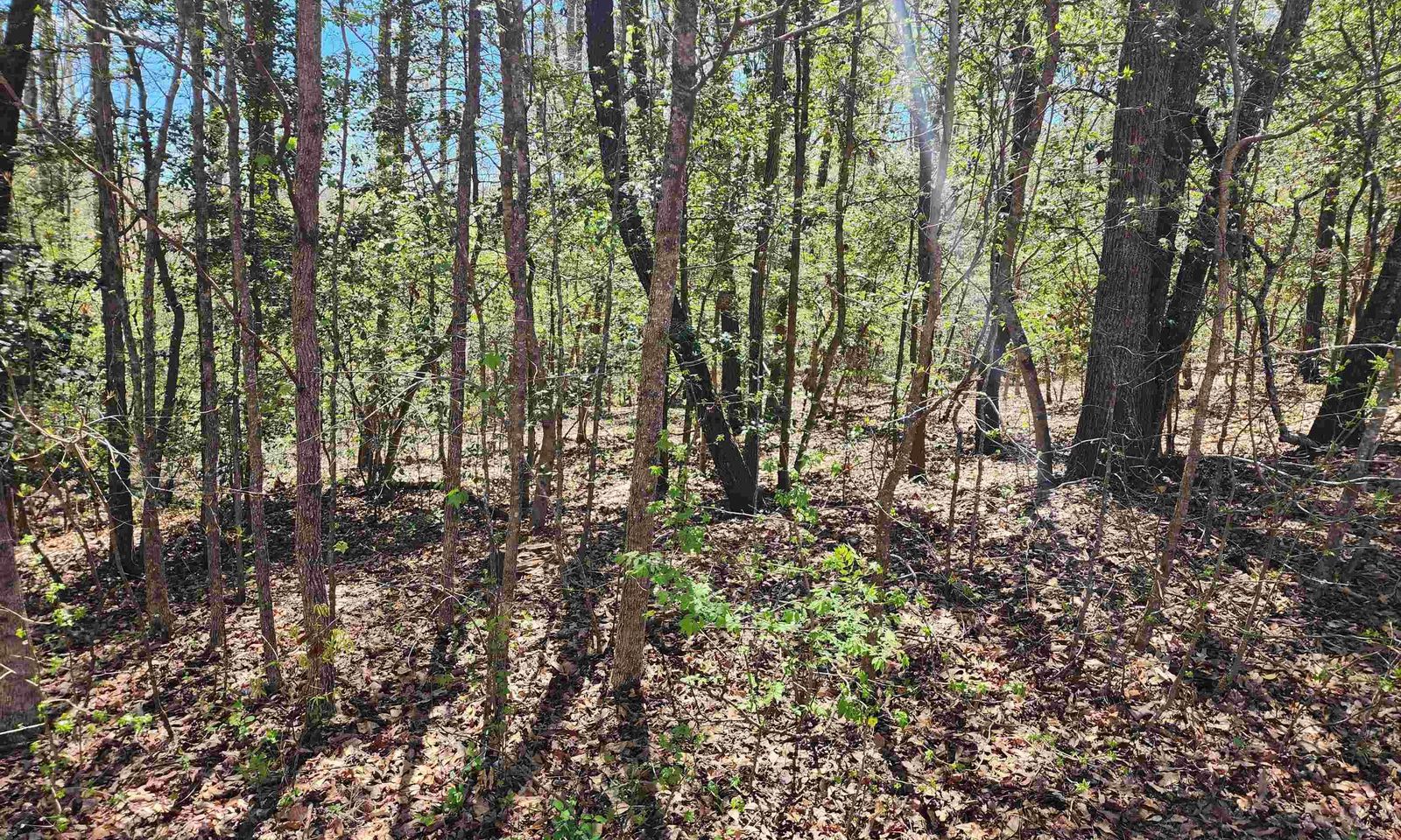 Property image 1 at 1208 Bradford Creek Lane, Taylors, SC 29687