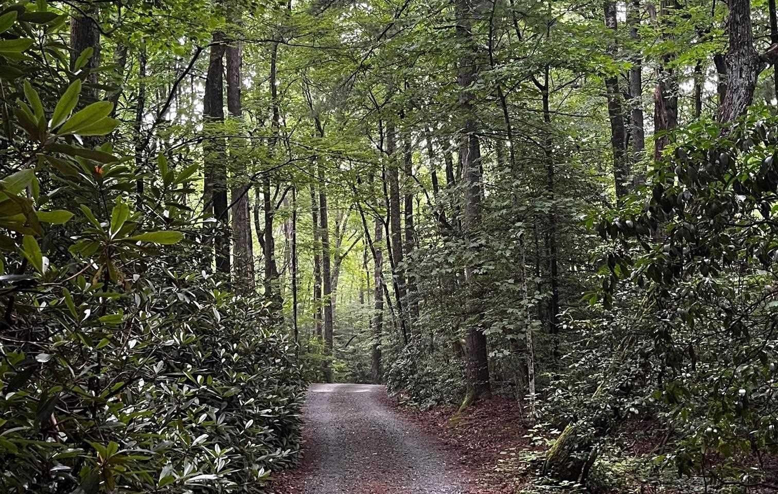 Property image 5 at 00 Upper Oil Camp Road, Cleveland, SC 29635