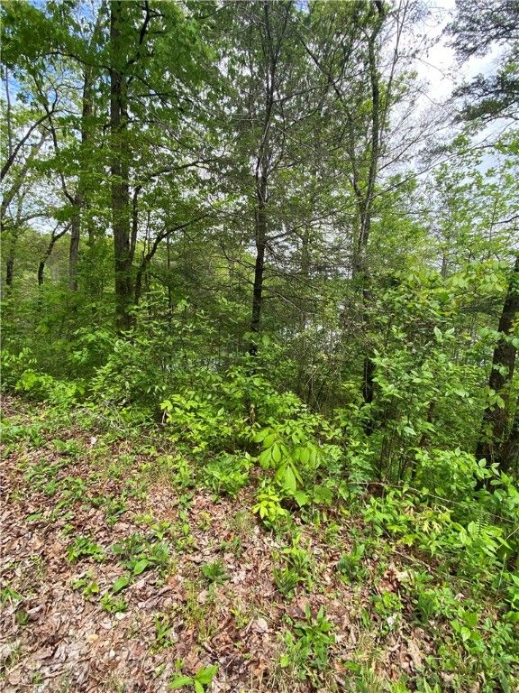 Property image 4 at Lot 36 Crystal Lake Road, Mountain  Rest, SC 29664