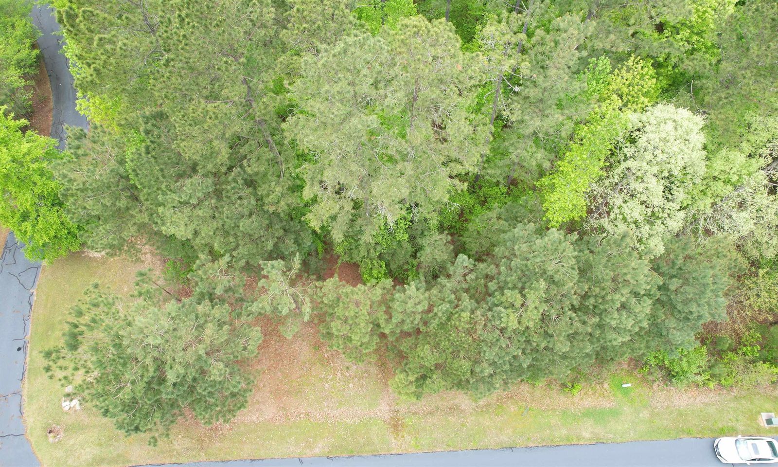 Property image 2 at 342 Watersedge Drive, Cross Hill, SC 29332