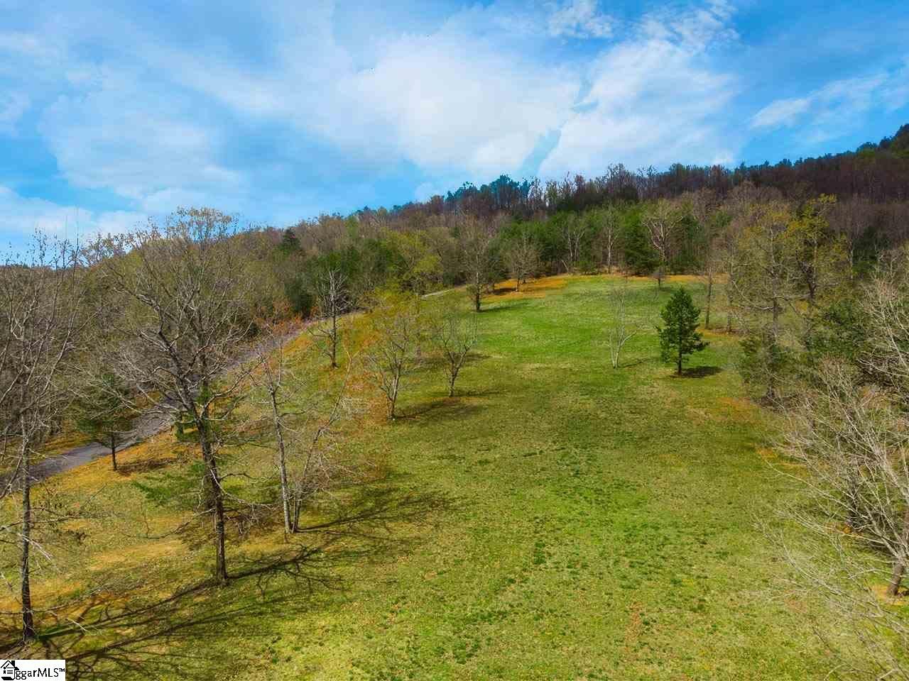 Property image 5 at 10 Knob Hill Lane, Landrum, SC 29356