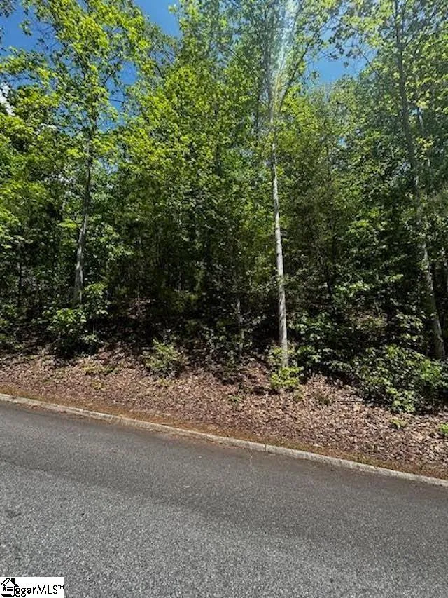 Summersett Place, Greenville Community
