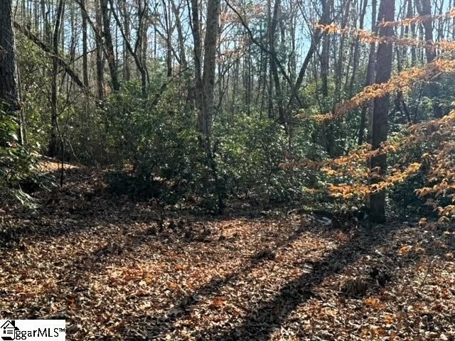 Property image 2 at Mountain Mint Way, Salem, SC 29676