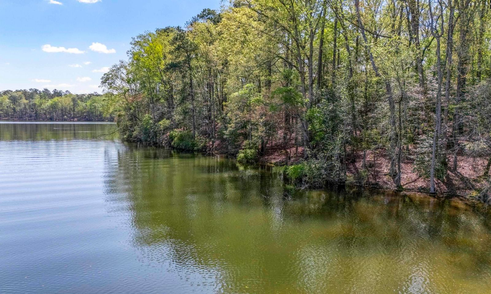 Main image of property at 0 Ivy Link Road, Leesville, SC 29070