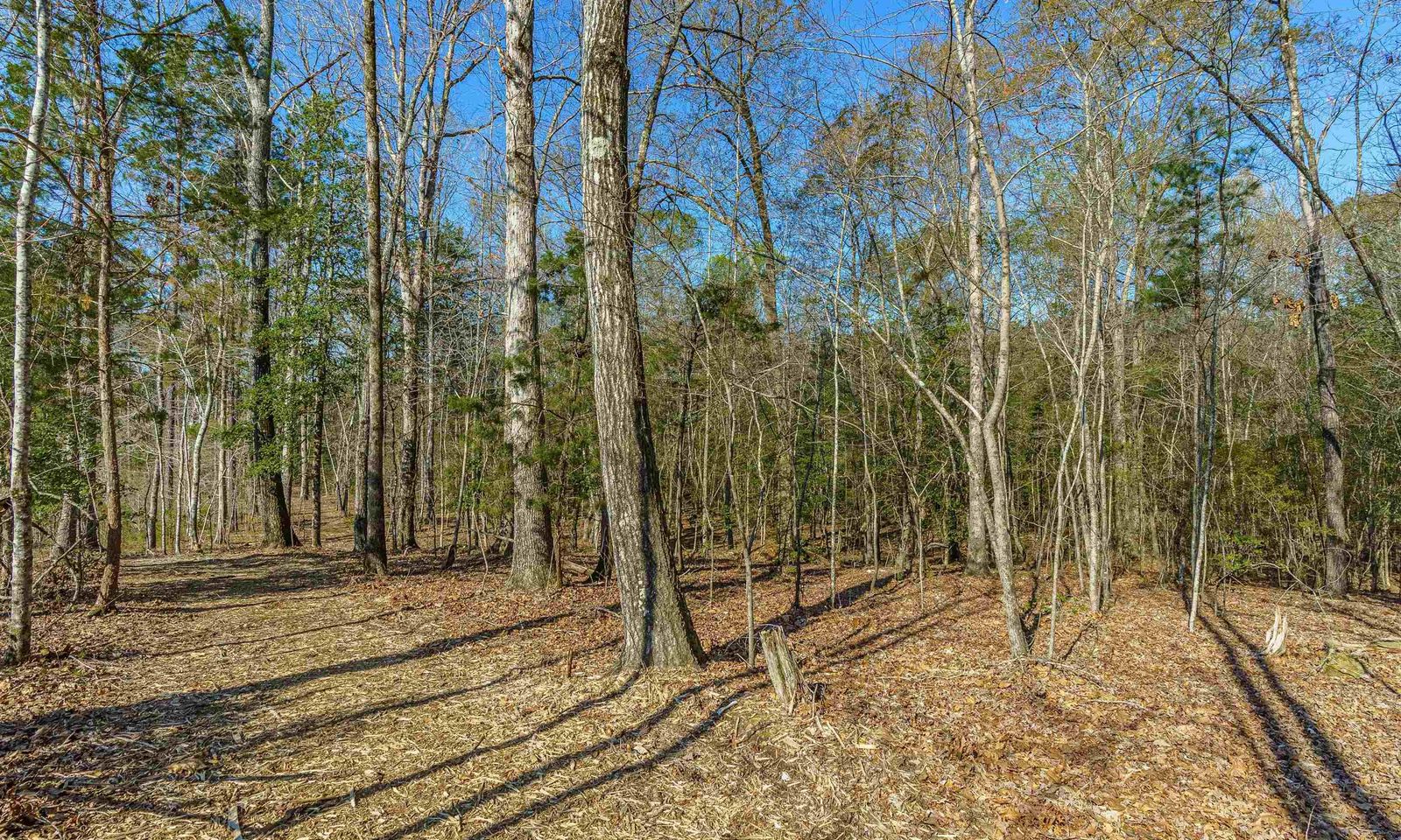 Property image 4 at Parcel A Grover Wilson Road, Blythewood, SC 29016