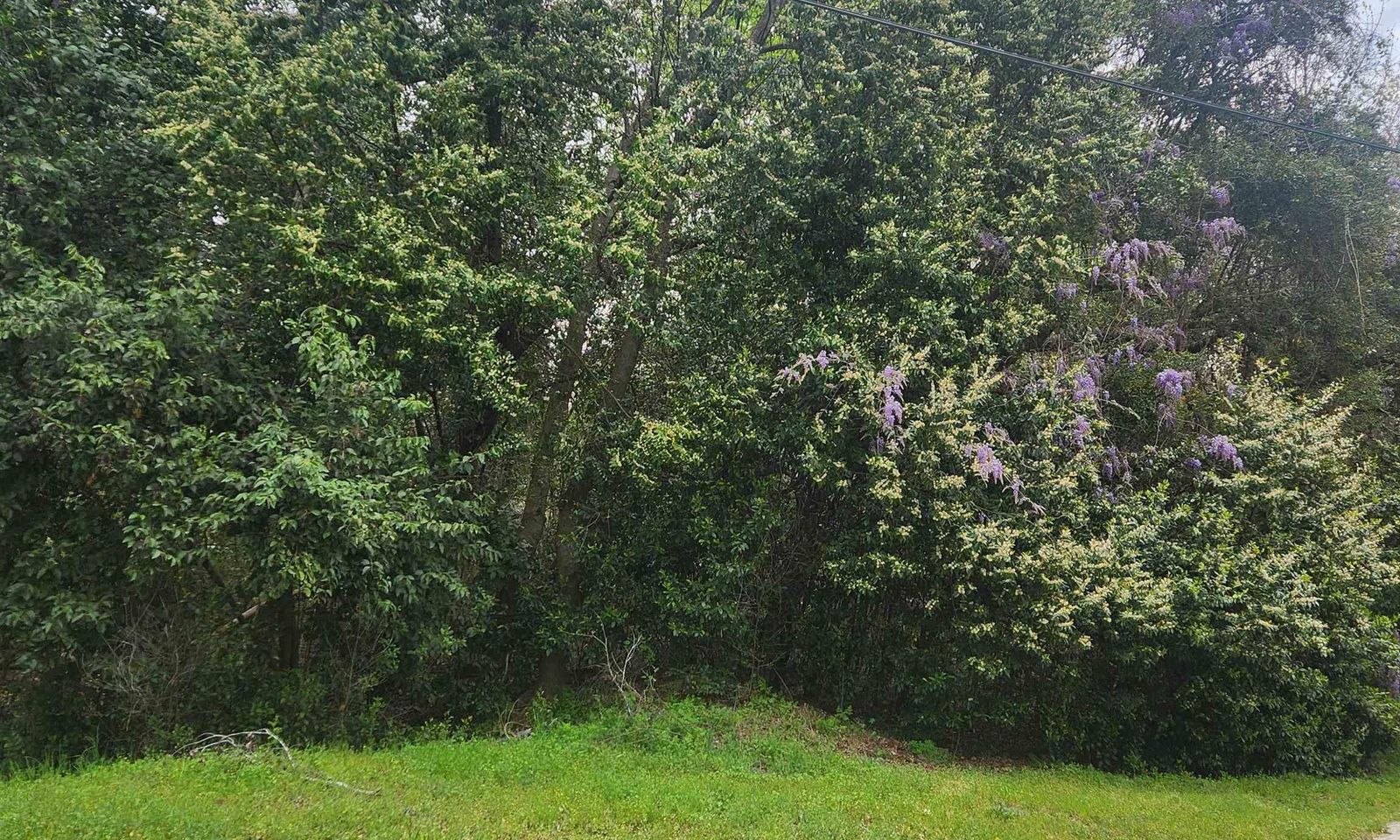 Property image 3 at 6430 Norris Street, Columbia, SC 29209