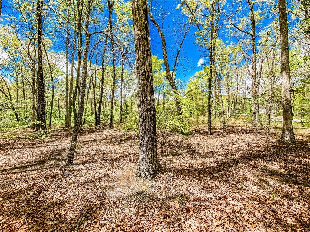 Property image 5 at 0 Hazelwood Way, Walhalla, SC 29691