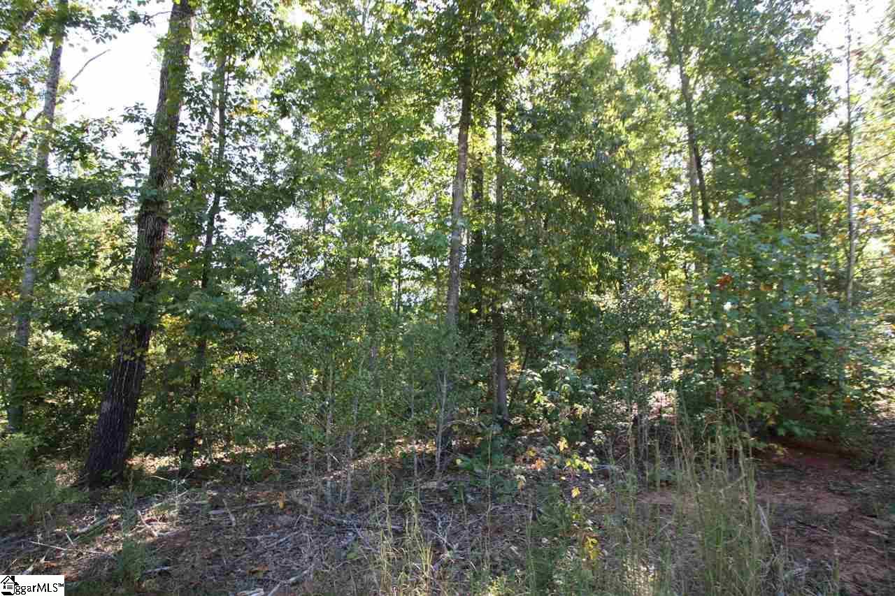 Property image 5 at 35 Blue Gill Drive, Greer, SC 29651