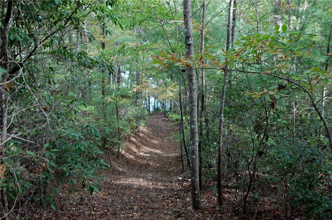Property image 5 at E16 Lake View Court, Salem, SC 29676