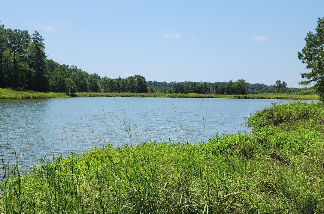 Property image 2 at 00 Lochan Lane, Abbeville, SC 29620