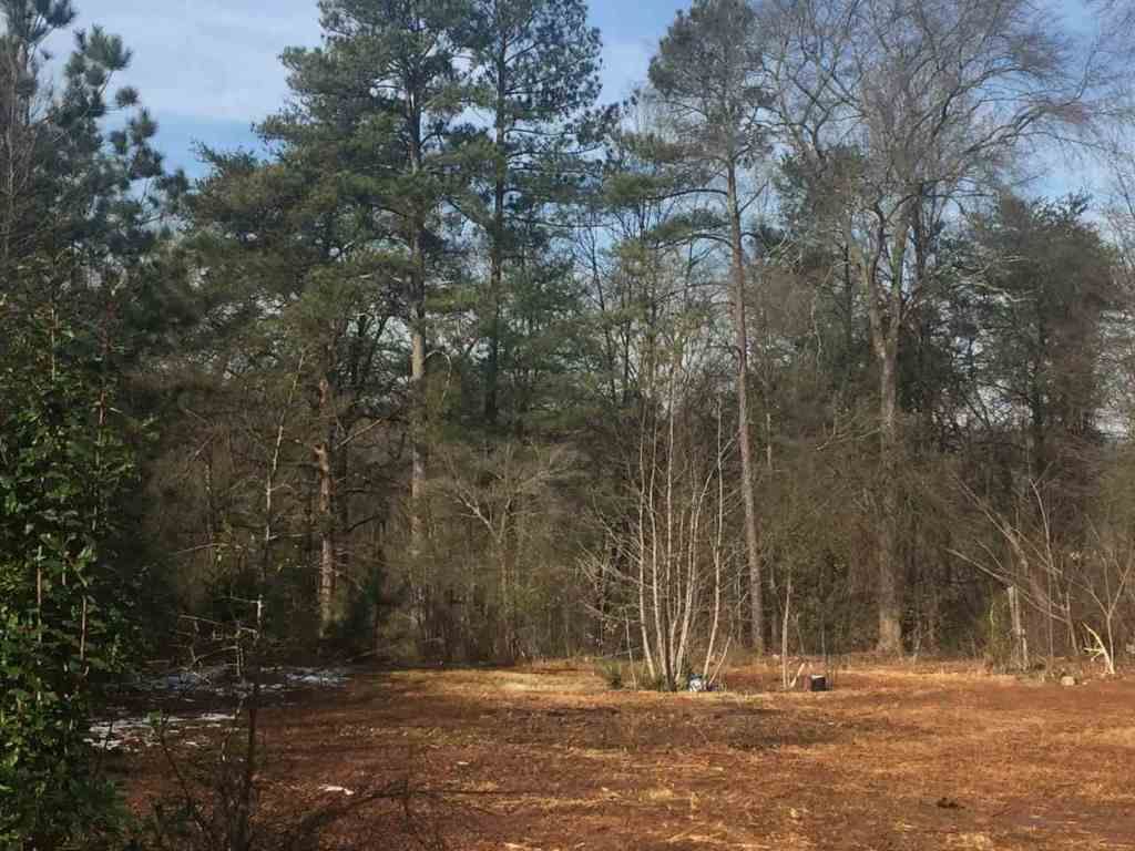 Property image 5 at 214 Lakeview Drive, Townville, SC 29689