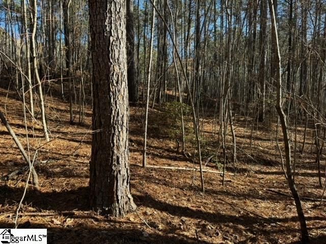 Property image 4 at Mountain Mint Way, Salem, SC 29676
