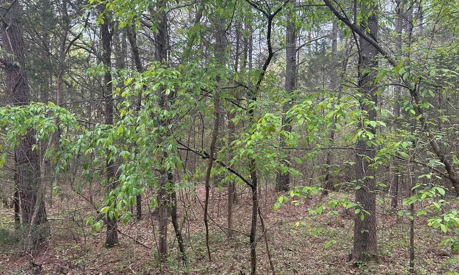 Property image 2 at 0 Orleans Drive, Simpsonville, SC 29680