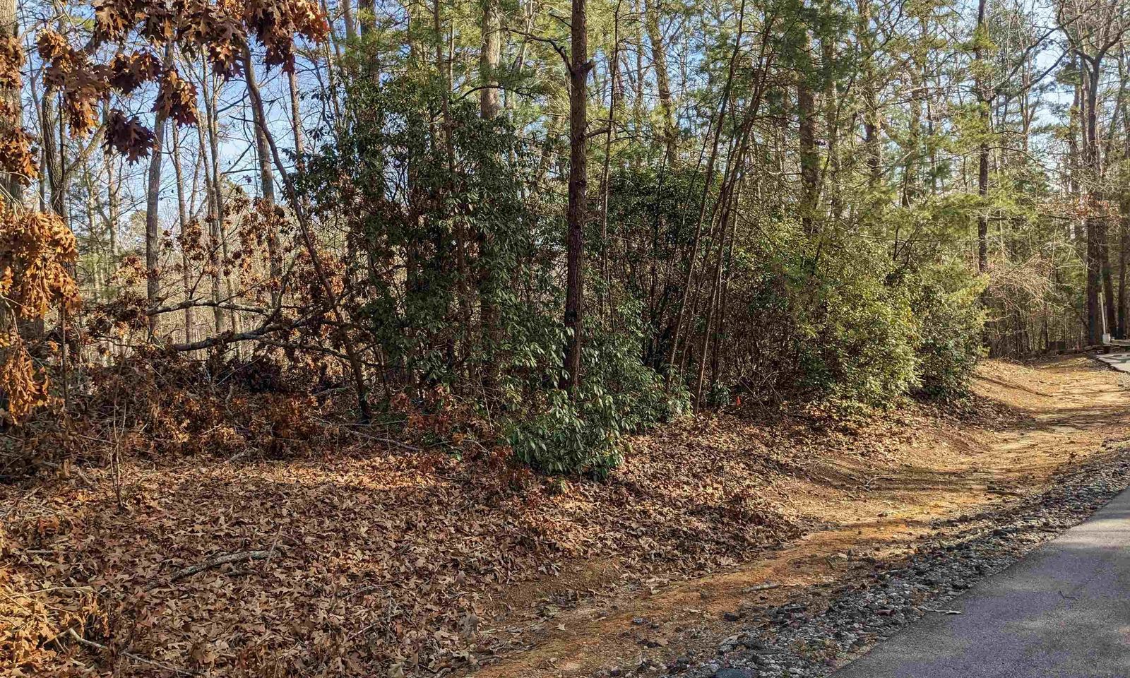 Property image 5 at 0 Sourwood Beach Drive, Salem, SC 29676