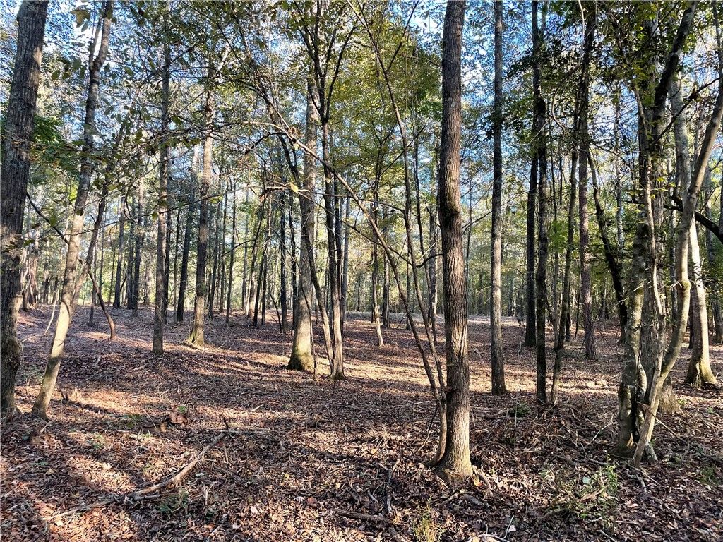 Property image 4 at 00 Lone Oak Road, Anderson, SC 29621