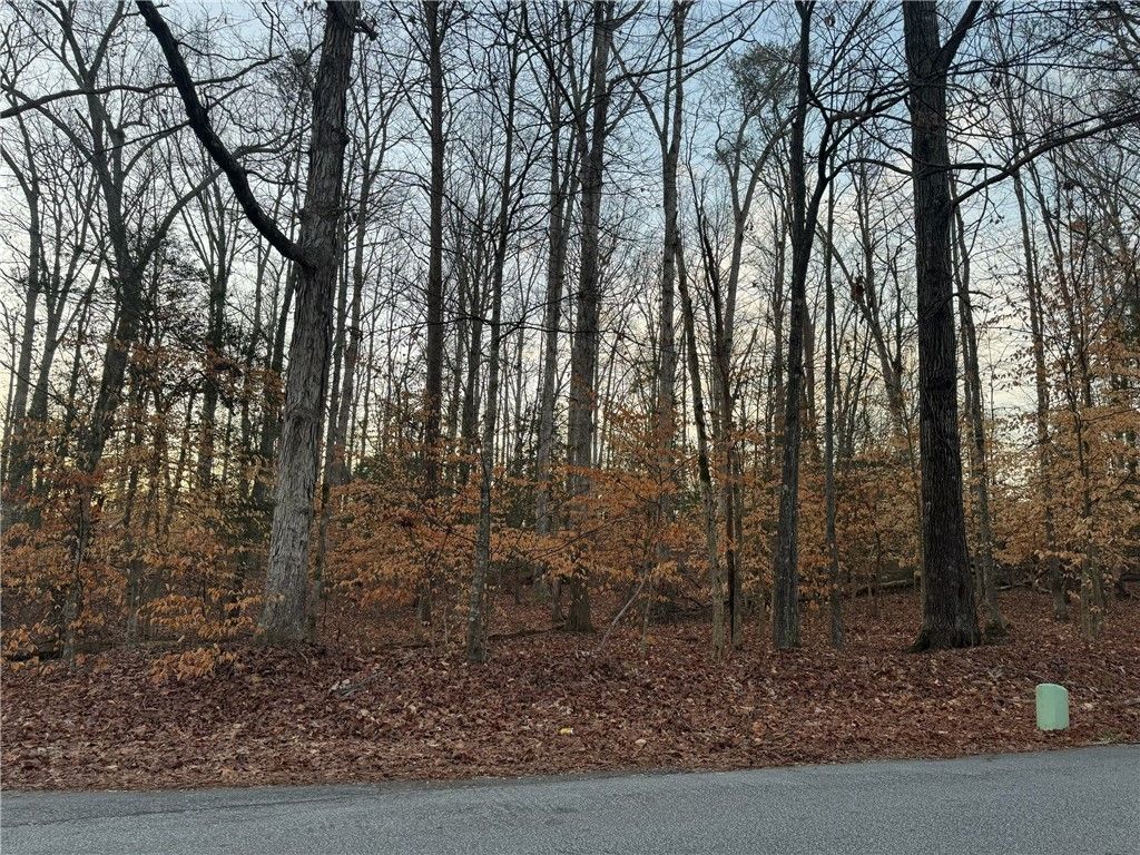 Property image 3 at 0 Pistol Club Road, Easley, SC 29640