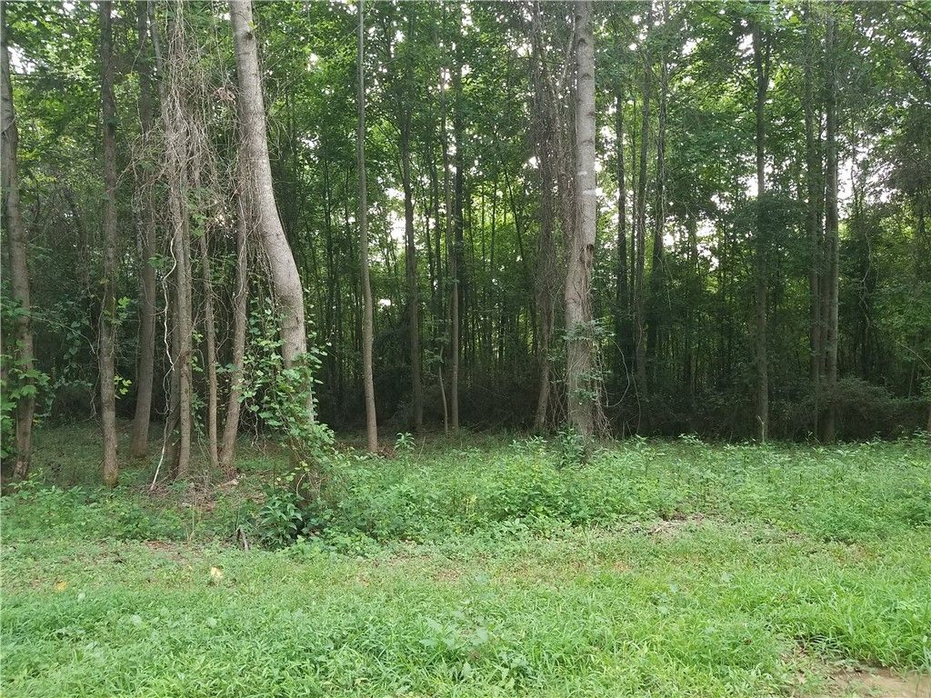 Property image 3 at 00 Lone Oak Road, Anderson, SC 29621
