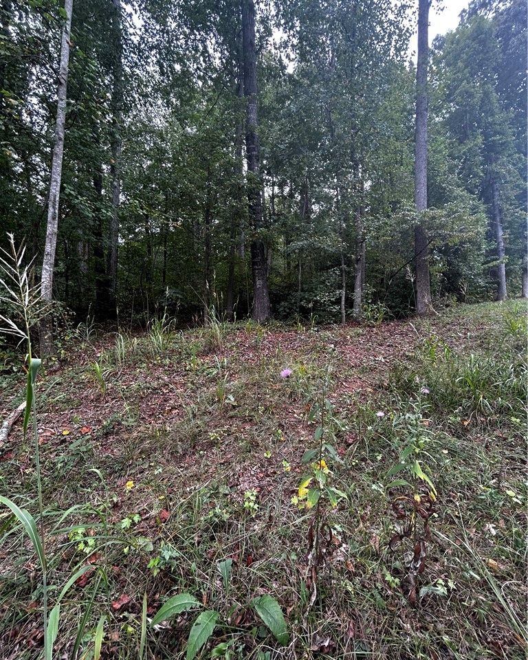 Property image 2 at 0 N Davis Drive, Fair Play, SC 29643