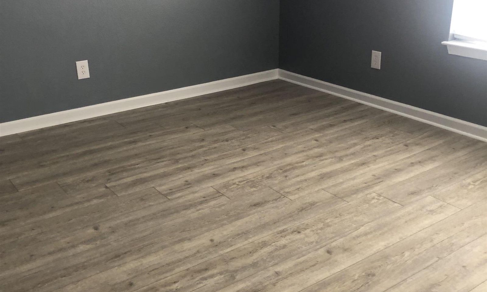 Property image 4 at 37 Robins Egg Court, Columbia, SC 29229
