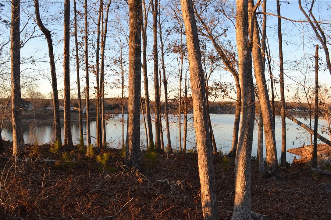 Property image 4 at 0 Waterside Point, Abbeville, SC 29620