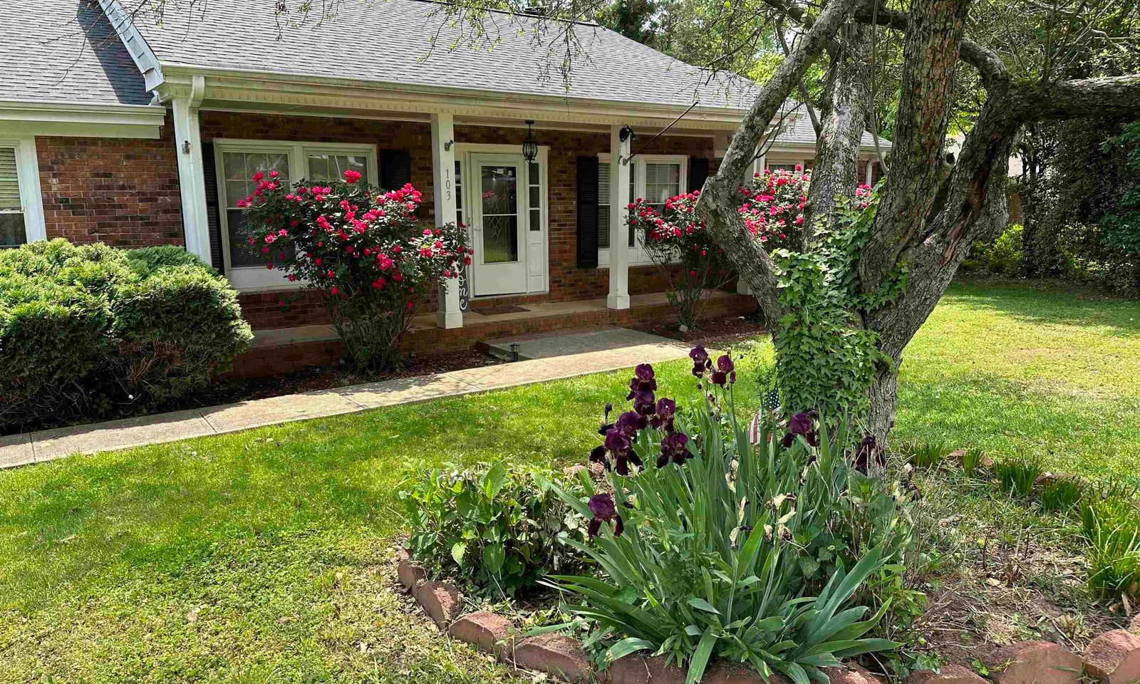Property image 4 at 103 Maxton Street, Spartanburg, SC 29302