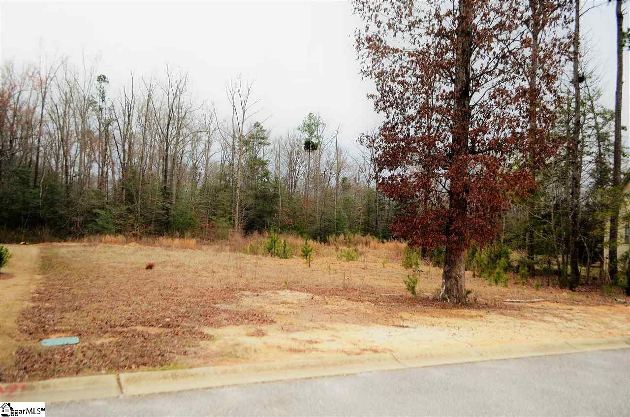 Property image 4 at 176 Carolina Oaks Drive, Fountain Inn, SC 29644