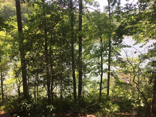 Property image 3 at Lot 15-B Estates at Riverstone, Salem, SC 29676