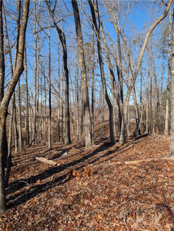 Property image 5 at Lot 2 Ferngrove Court, Seneca, SC 29672