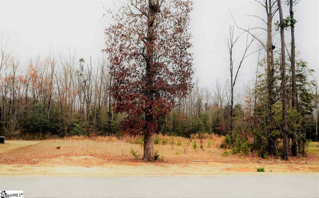 Property image 1 at 176 Carolina Oaks Drive, Fountain Inn, SC 29644