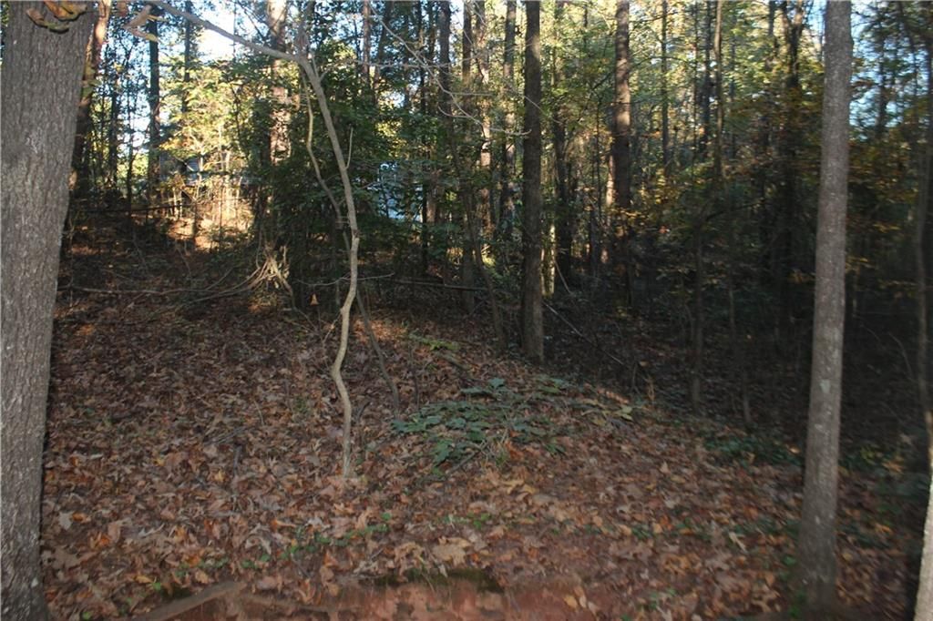 Property image 5 at Lot 305 Lawrence Bridge Road, Seneca, SC 29672