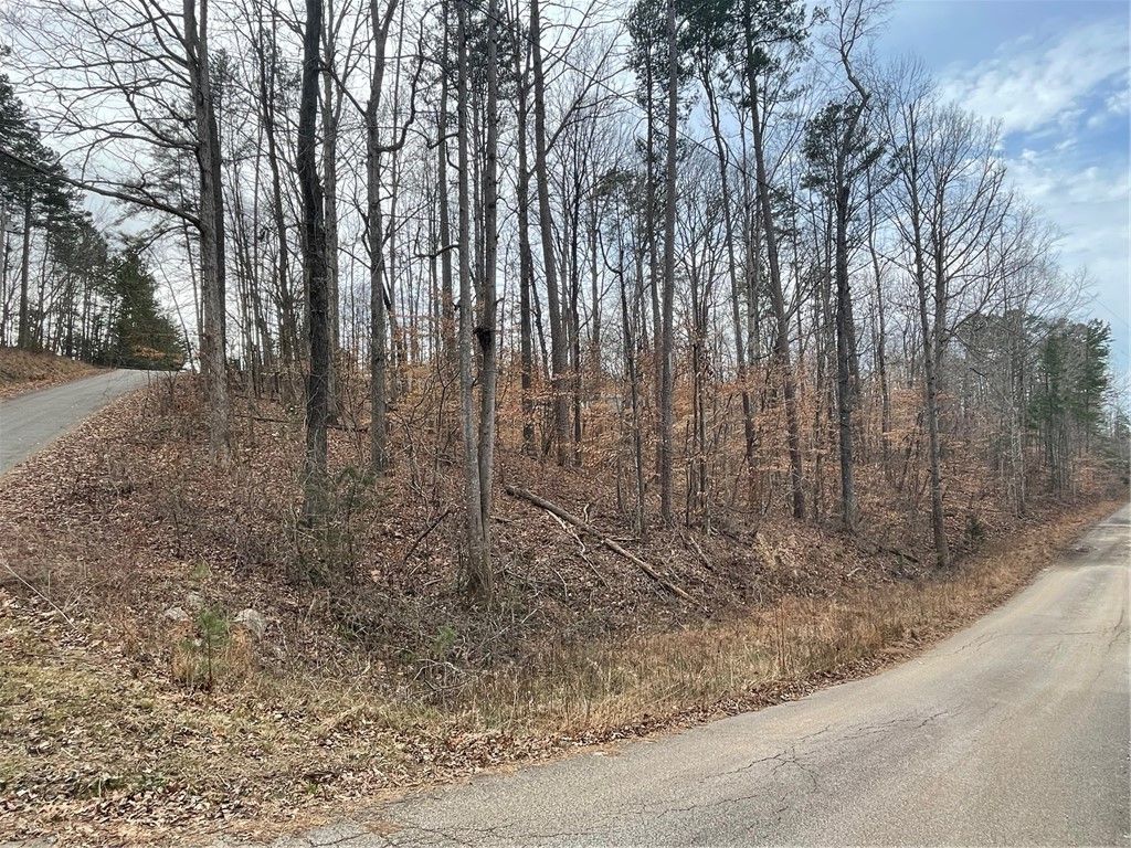Property image 2 at 18 Buckskin Trail, Martin, GA 30557