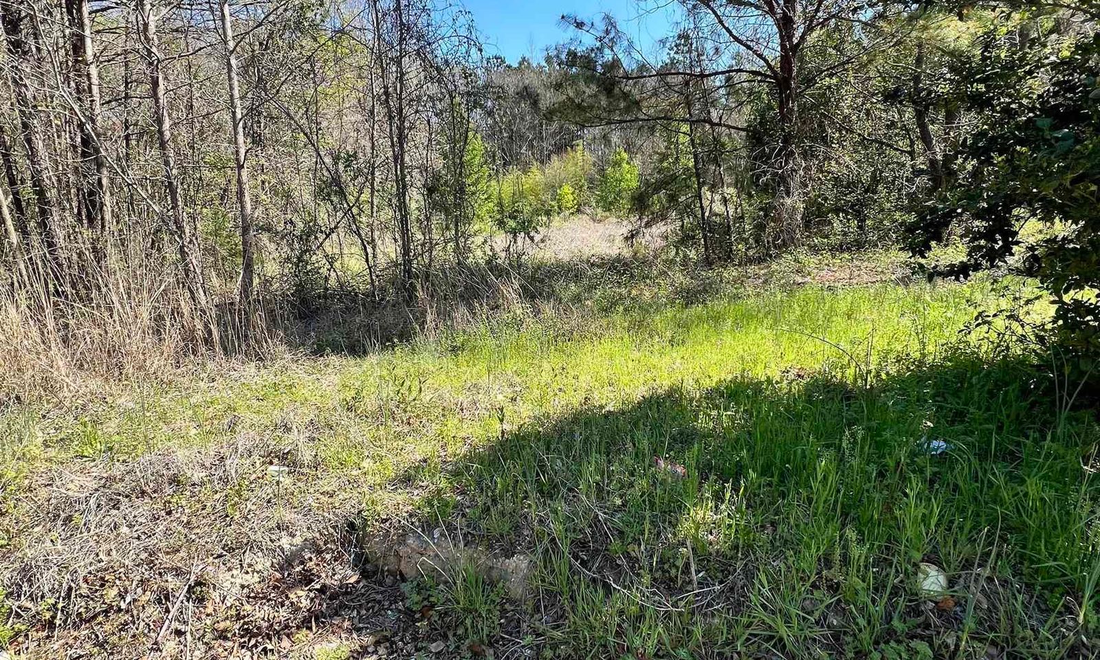 Property image 3 at W S Wakefield RD, Columbia, SC 29203