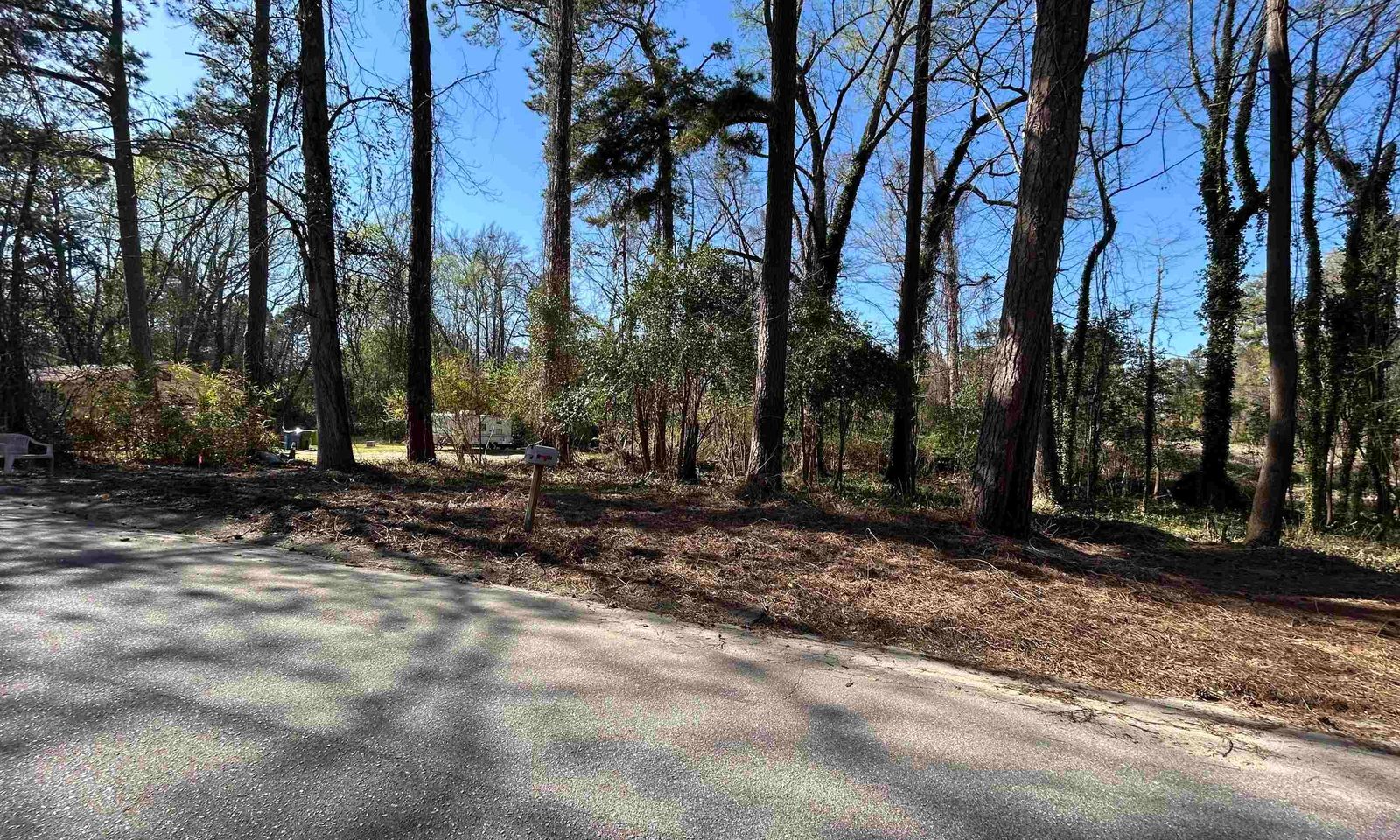 Property image 4 at 305 Bertha Avenue, Columbia, SC 29203