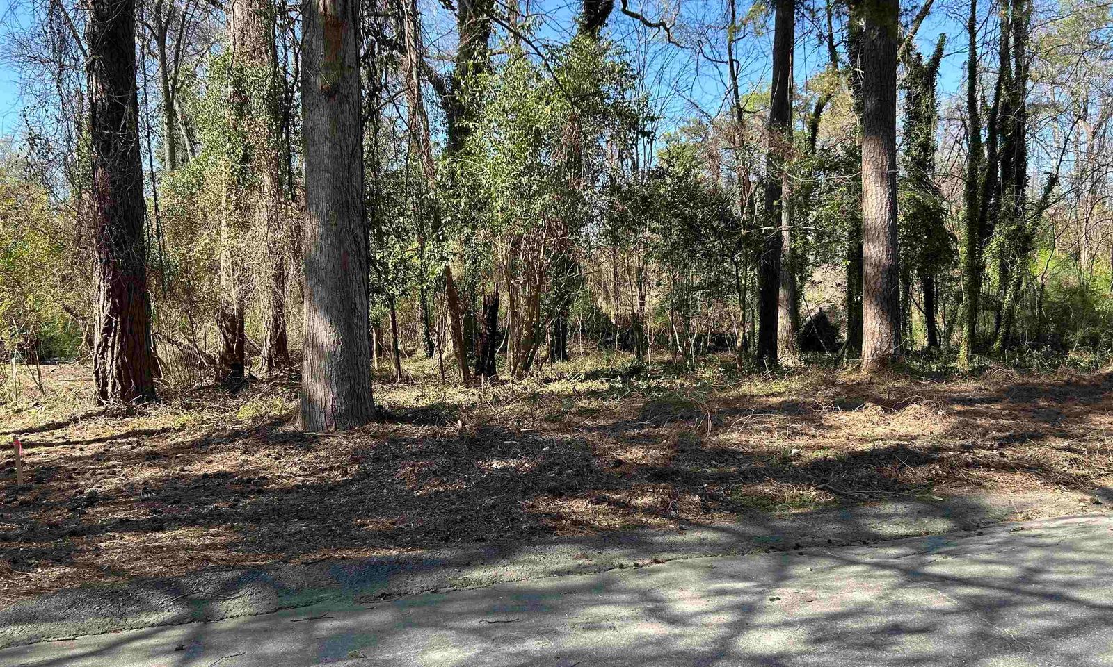 Main image of property at 305 Bertha Avenue, Columbia, SC 29203