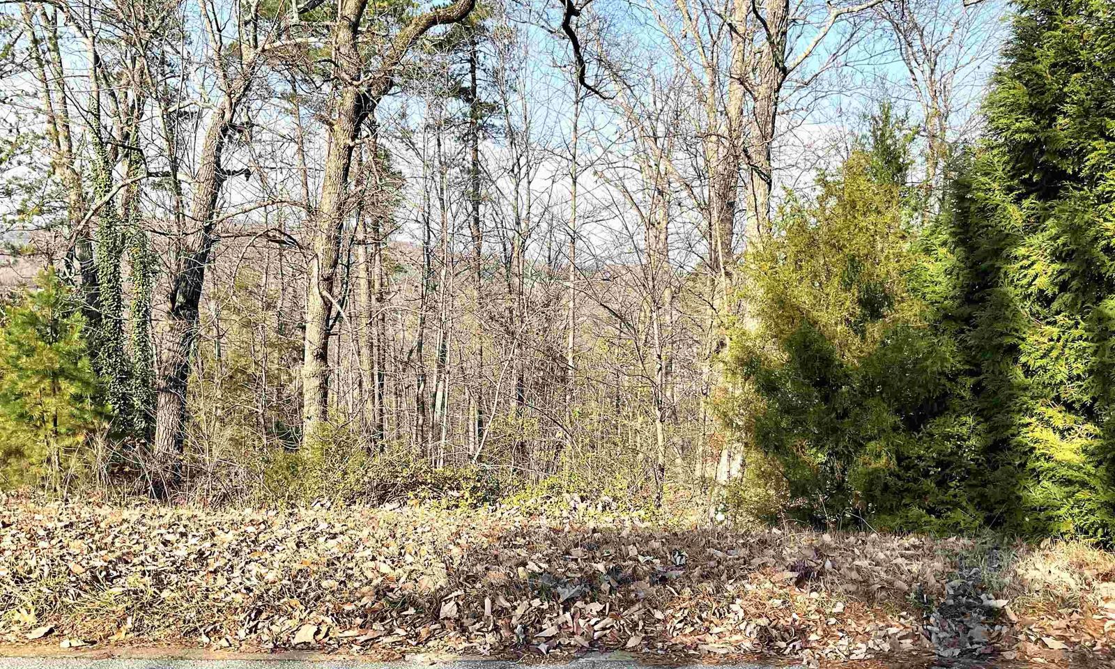 Property image 3 at 421 Montebello Drive, Greenville, SC 29609