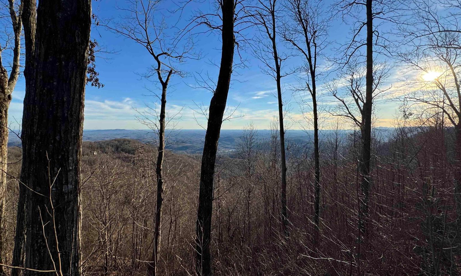 Property image 3 at 260 Bella Vista Court, Zirconia, NC 28790