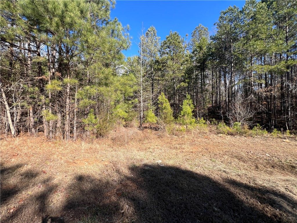 Property image 2 at 107 Friendship Pointe Drive, Seneca, SC 29678