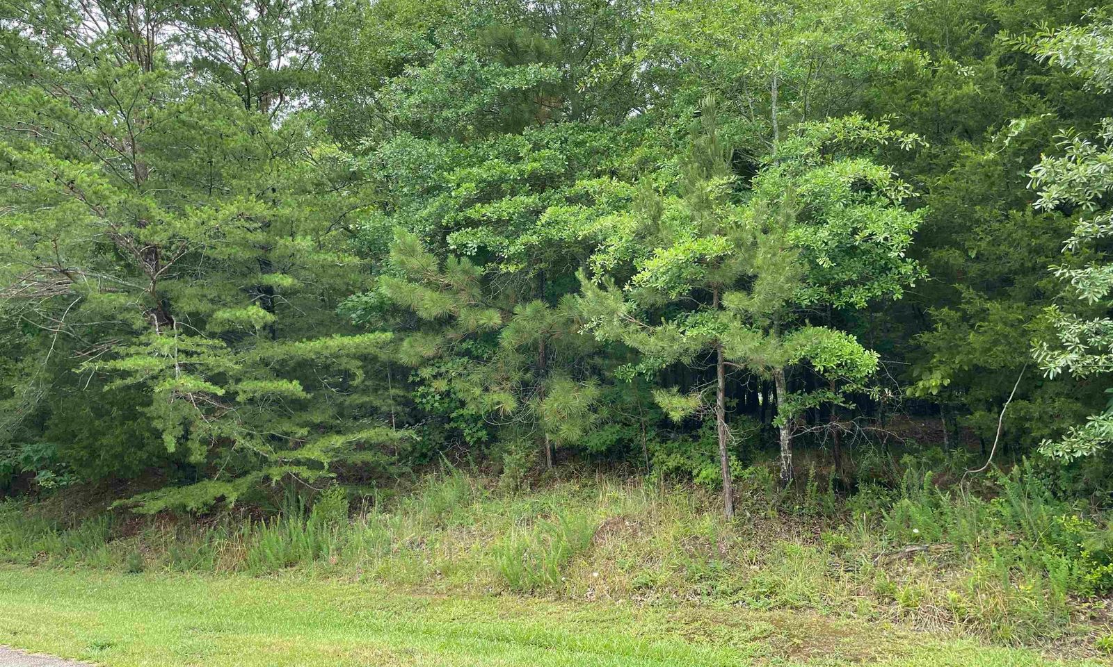 Property image 2 at 205 W Peninsula Drive, Laurens, SC 29360
