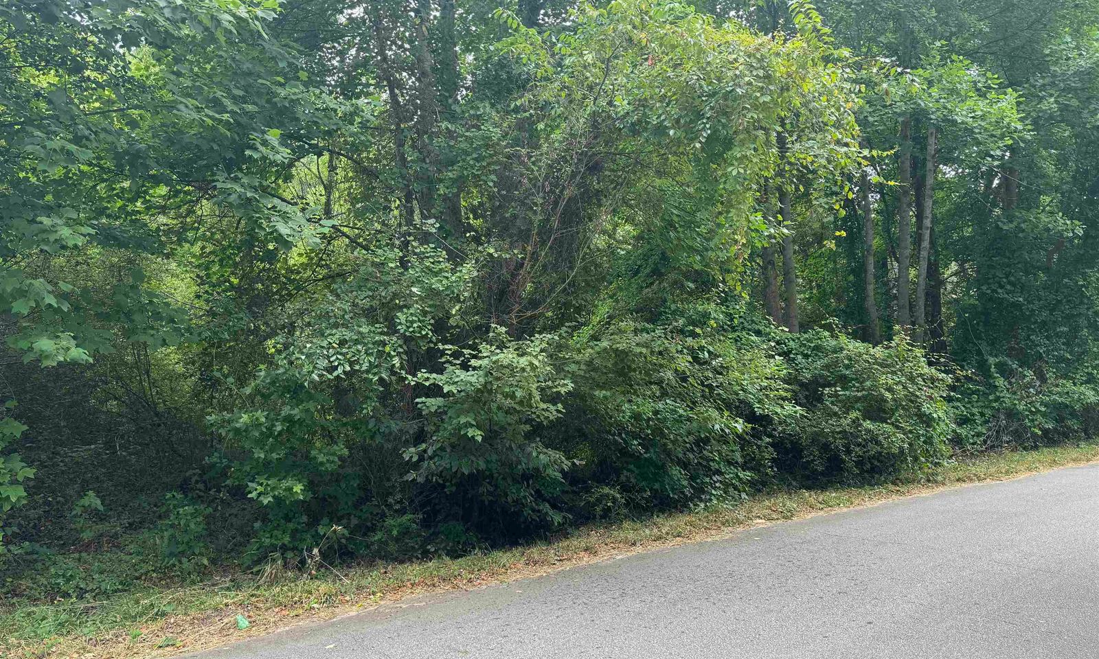 Property image 4 at 00 Chevy Chase Boulevard, Pelzer, SC 29668