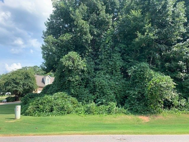 Property image 4 at 100 Courtyard Drive, Anderson, SC 29621