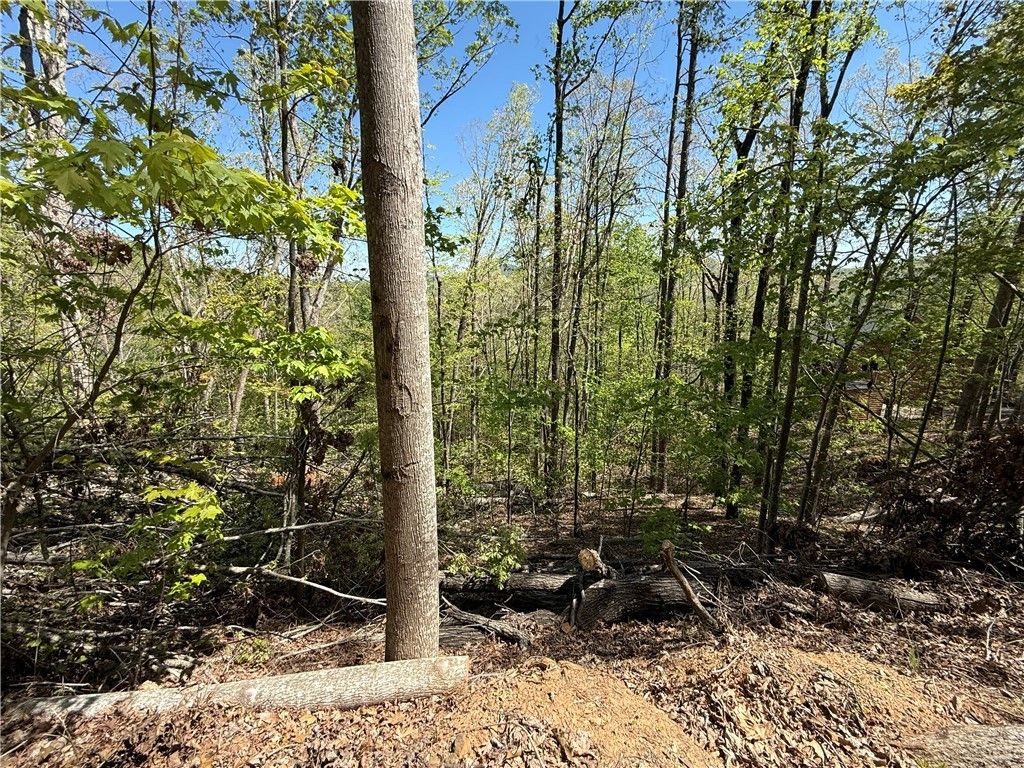 Property image 5 at 113 Stone Creek Court, Pickens, SC 29671