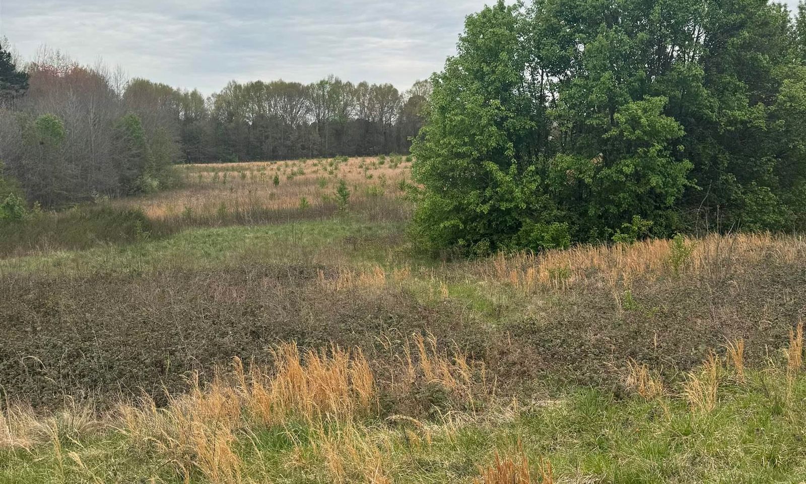 Main image of property at 0 Highway 17, Piedmont, SC 29673