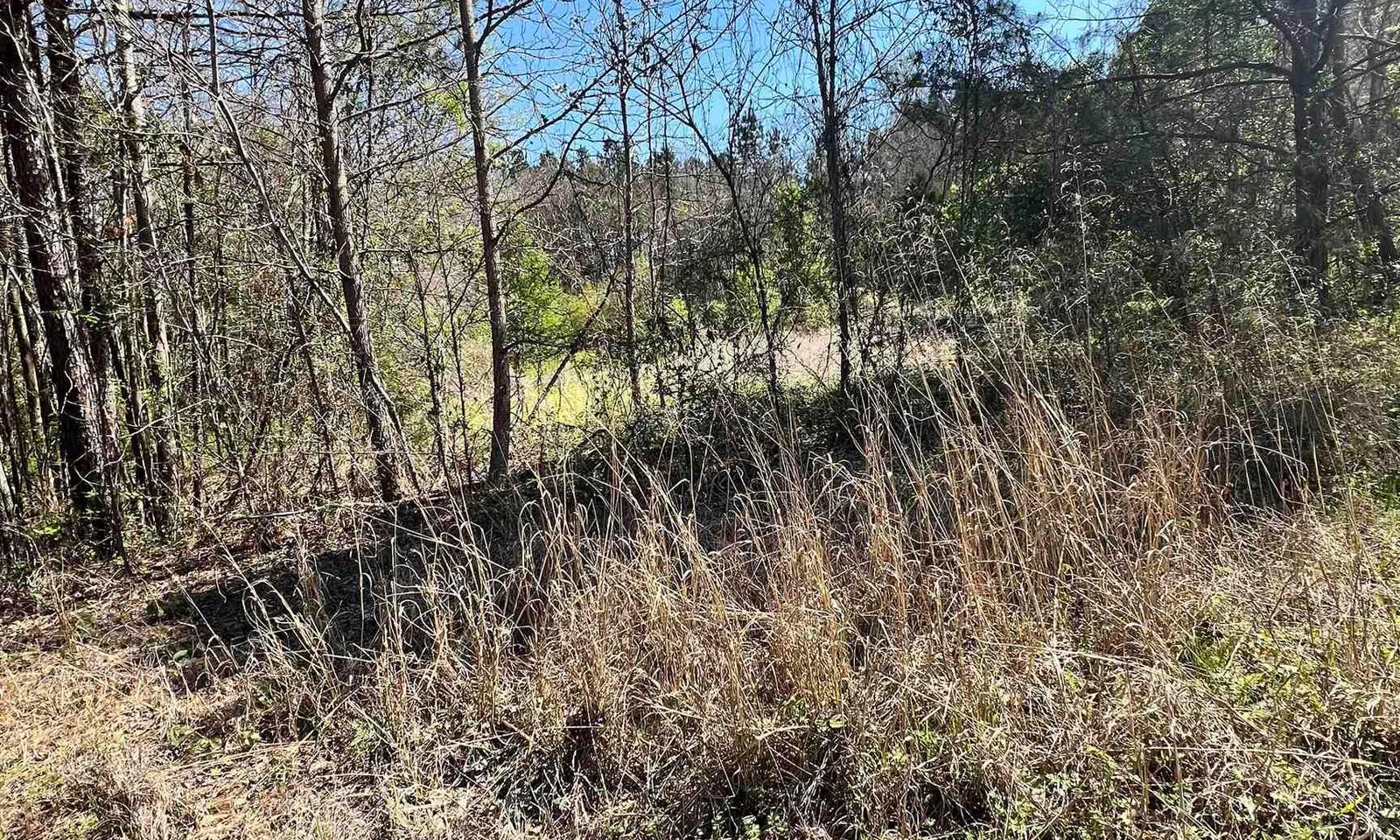 Main image of property at W S Wakefield RD, Columbia, SC 29203