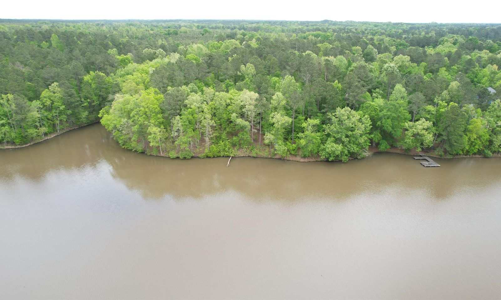 Property image 4 at 342 Watersedge Drive, Cross Hill, SC 29332