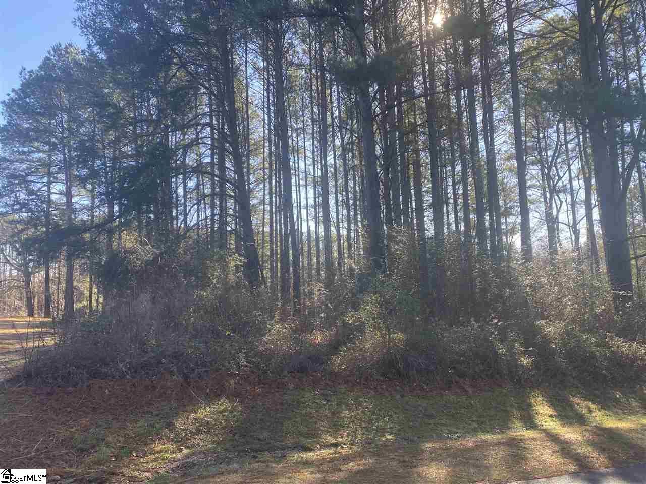 Property image 1 at 29 Laurelcrest Lane, Travelers Rest, SC 29690