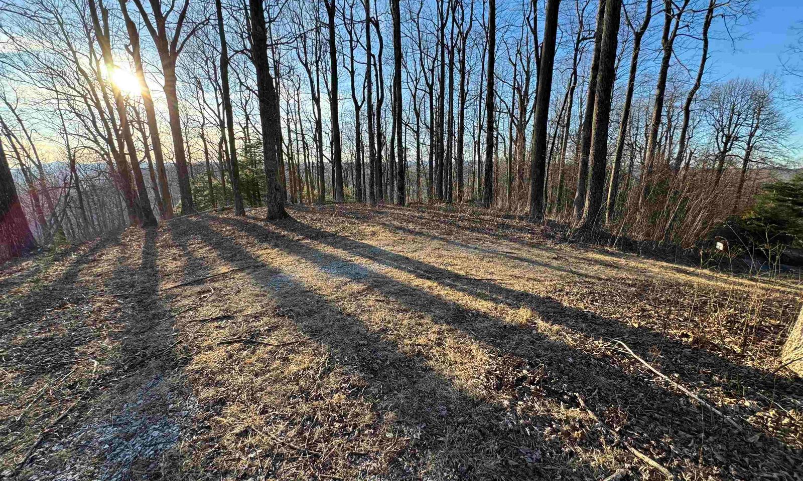 Property image 4 at 260 Bella Vista Court, Zirconia, NC 28790
